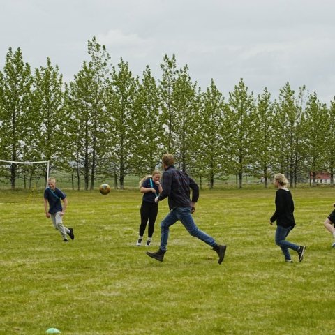 _dsc0478.jpg