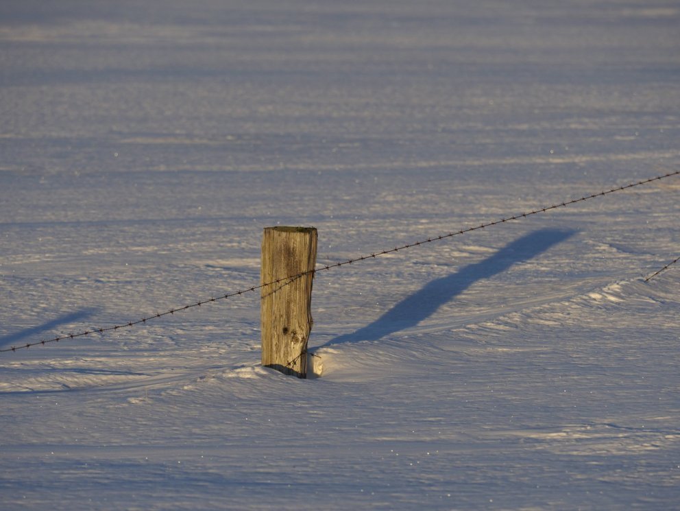 Skóla- og velferðarþjónusta Árnesþings óskar eftir þjónustufulltrúa