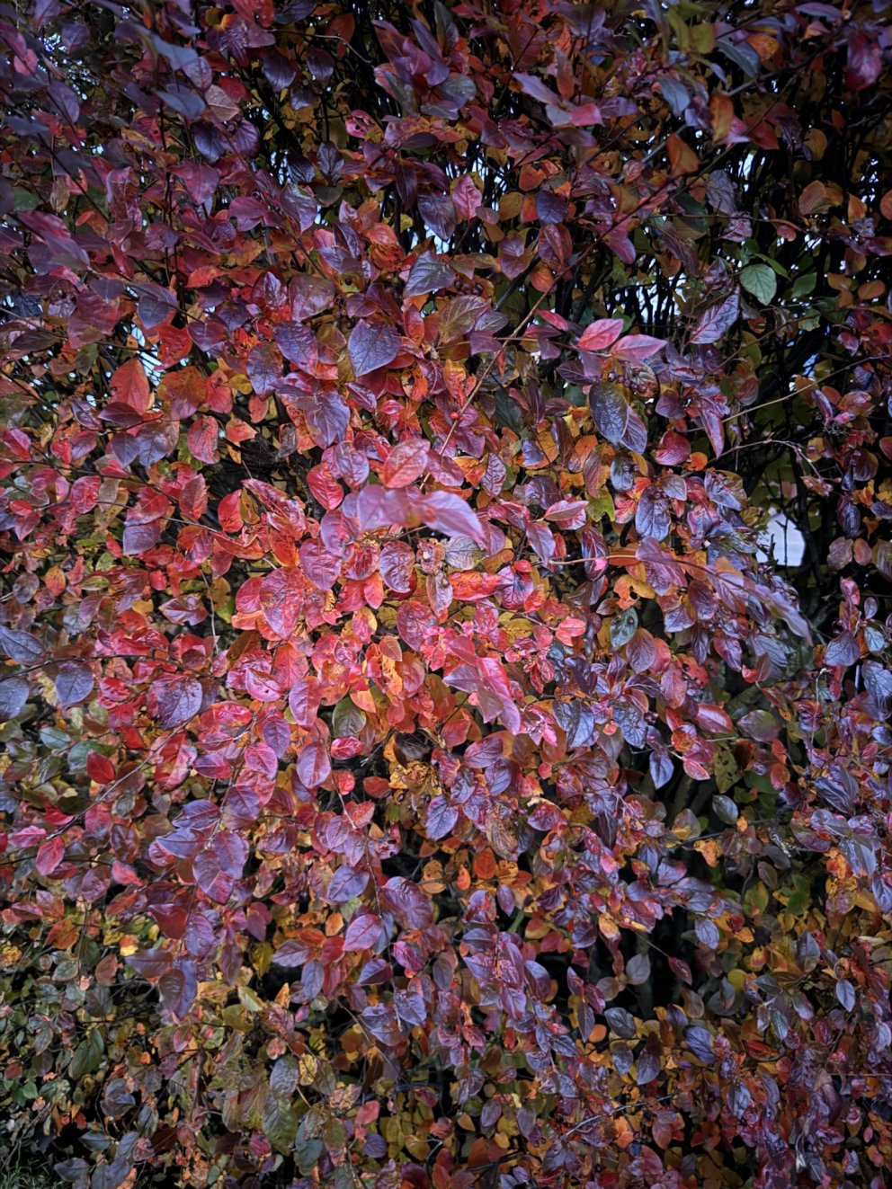 Dagskrá 304. fundar sveitarstjórnar