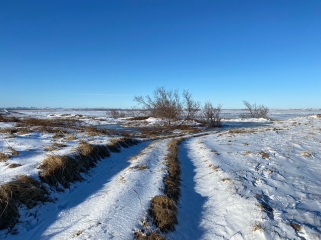 Fundargerð 311. fundar sveitarstjórnar