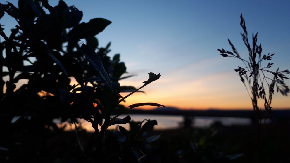 Fundargerð 317. fundar sveitarstjórnar