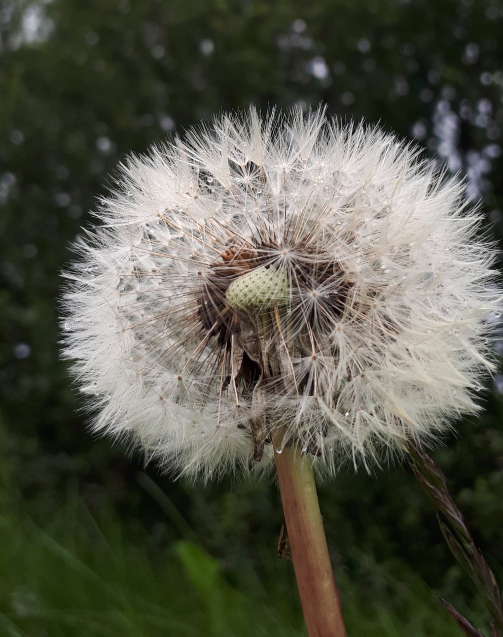 Áveitan í júní er komin út