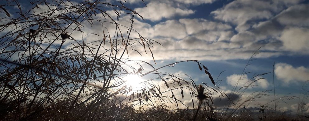 Næsti fundur sveitarstjórnar verður 17. mars