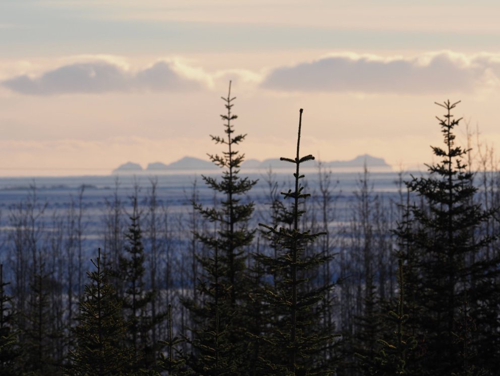 Fundardagskrá 337. fundar sveitarstjórnar