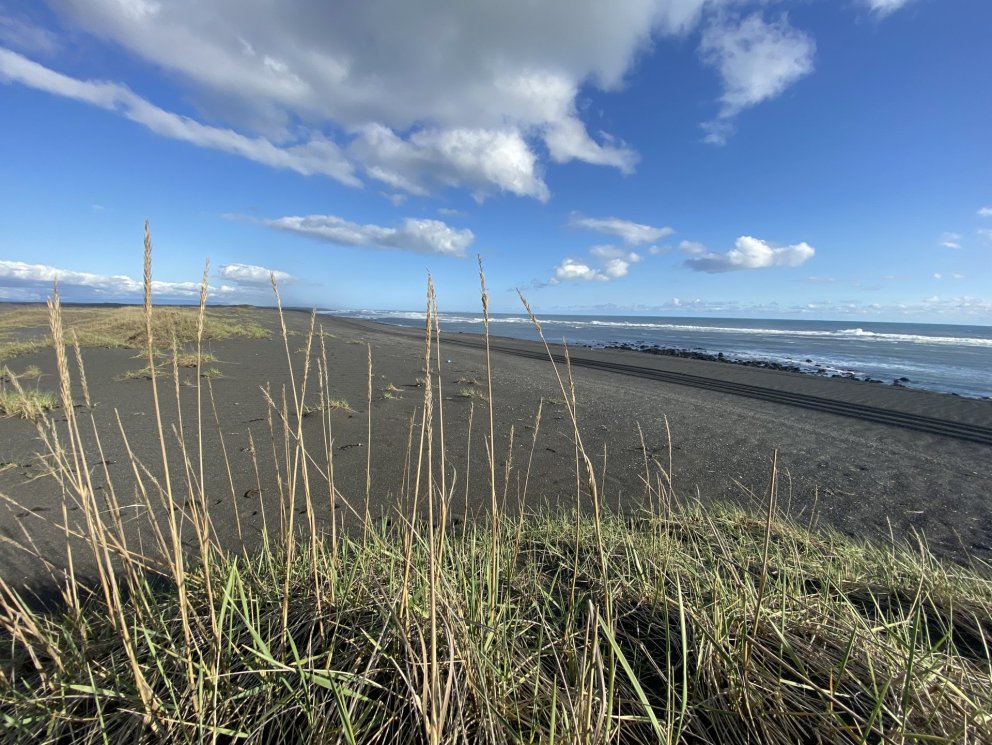 Fundardagskrá 339. fundar sveitarstjórnar