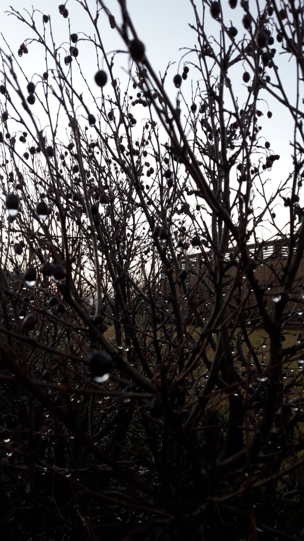 Fundardagskrá 307. fundar sveitarstjórnar