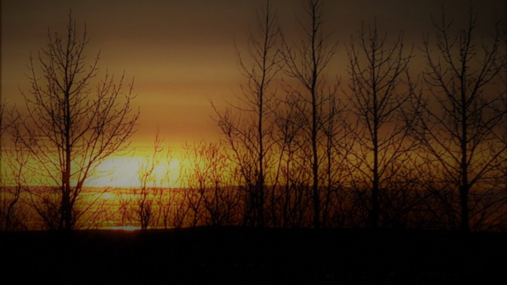 Fundardagskrá 314. fundar sveitarstjórnar