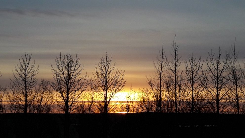 Áveitan er komin út