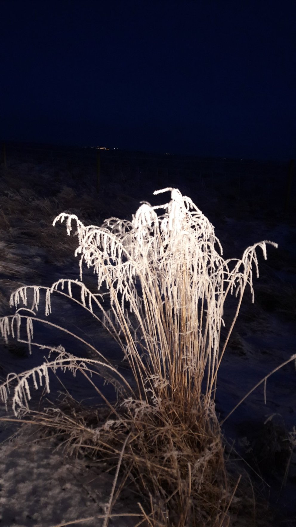 Fundargerð 307. fundar sveitarstjórnar