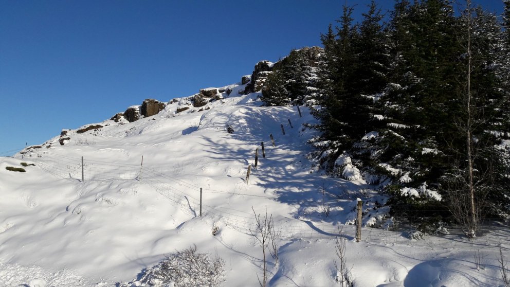 Fundargerð 310. fundar sveitarstjórnar