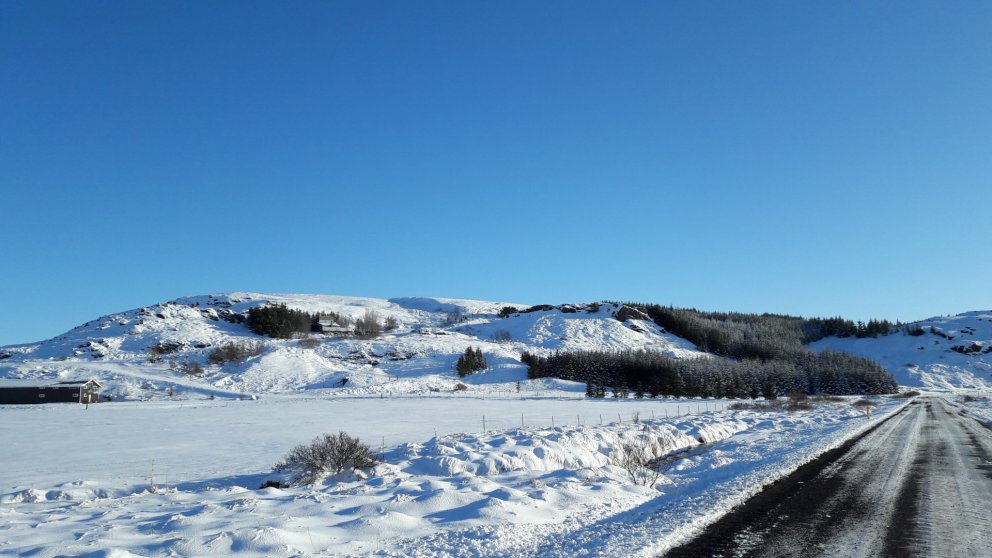 Fundargerð 314. fundar sveitarstjórnar