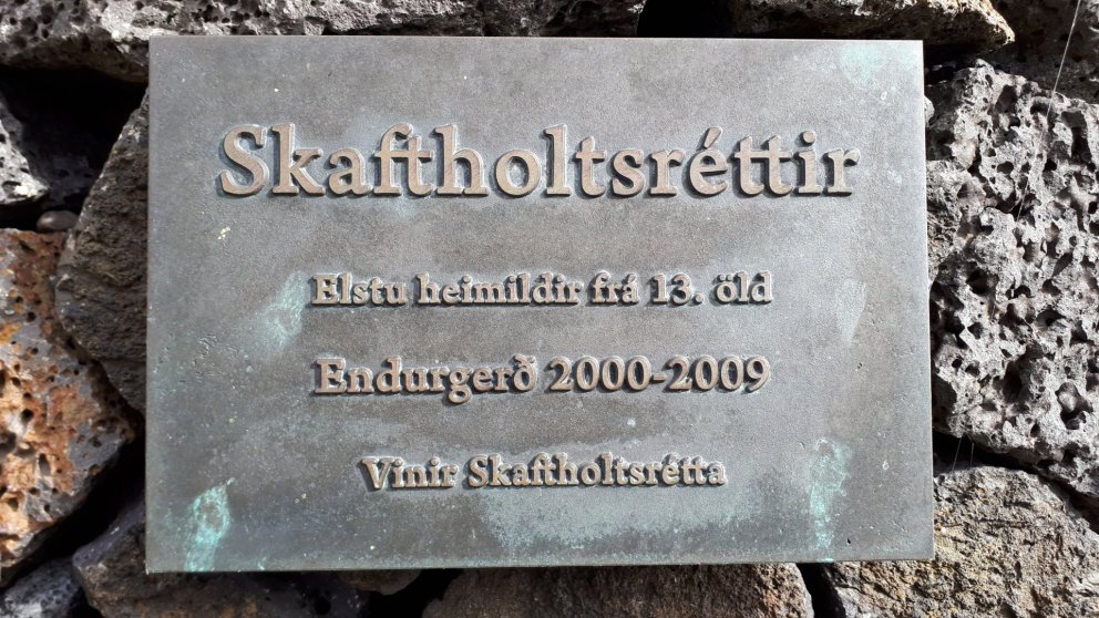 Seinni réttir 25. september