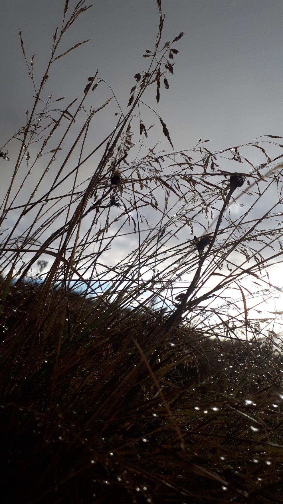 Skrifstofa Flóahrepps lokuð 21.-22. september