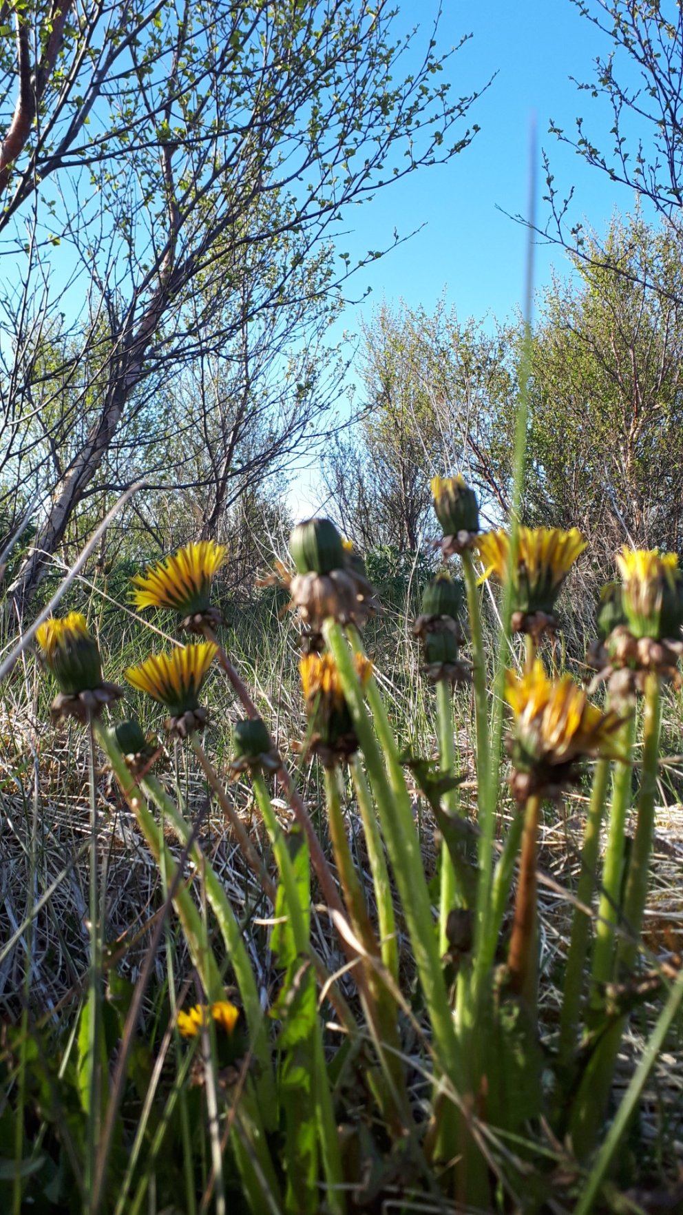 Fundargerð 302. fundar sveitarstjórnar