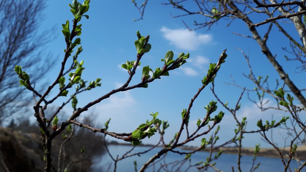 AUKAFUNDUR sveitarstjórnar 7. apríl