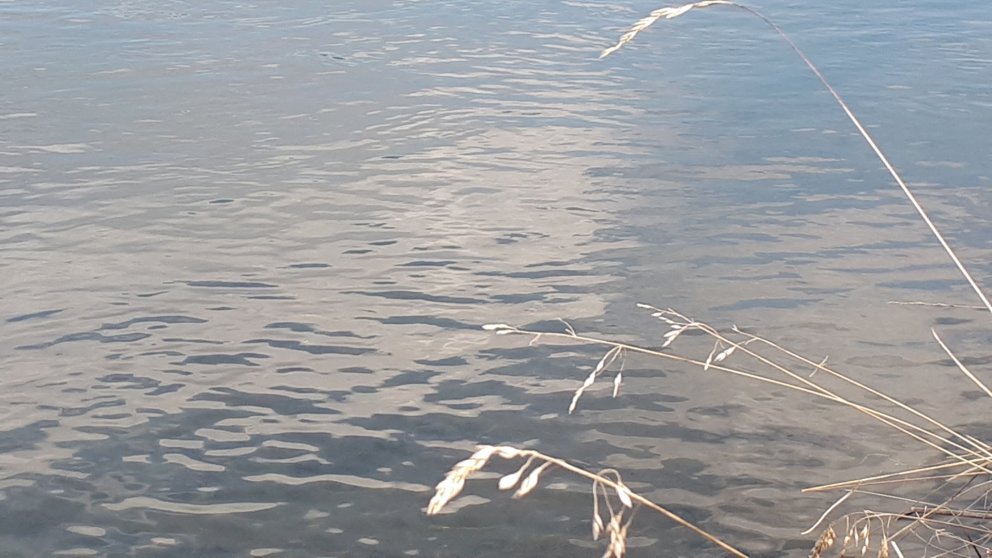 Fundargerð 316. fundar sveitarstjórnar