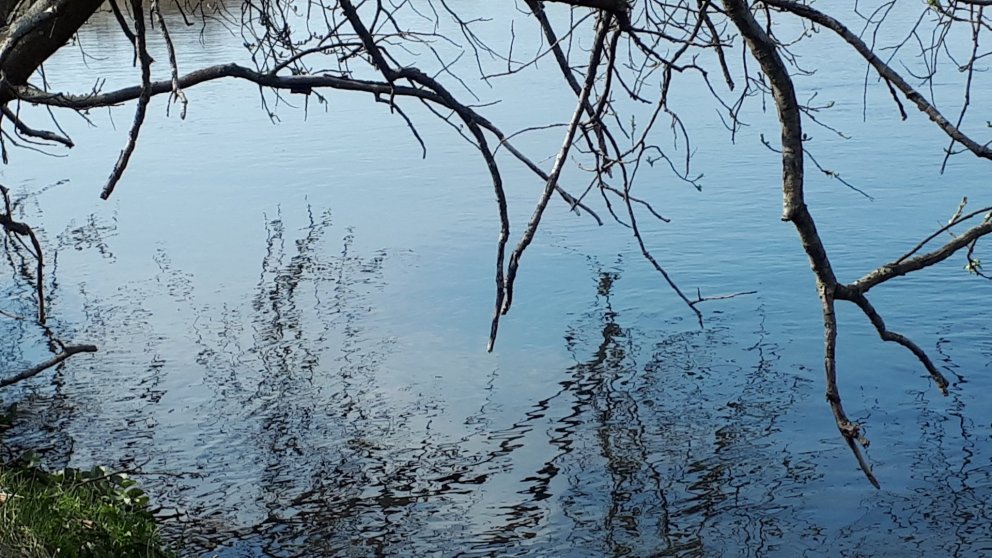 Umsóknir um menningarstyrk 2025