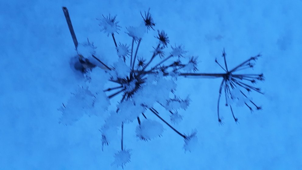 Næsti fundur sveitarstjórnar verður 17. desember