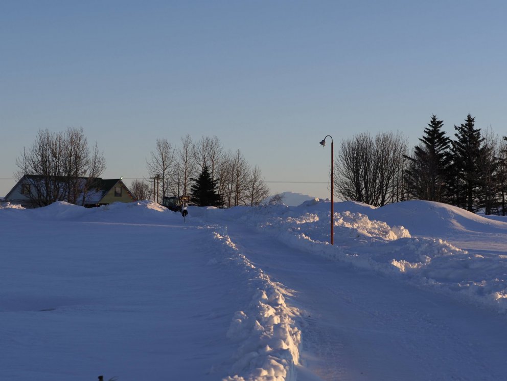 Mynd: Ólafur Ingi Ólafsson Halakoti, 2023