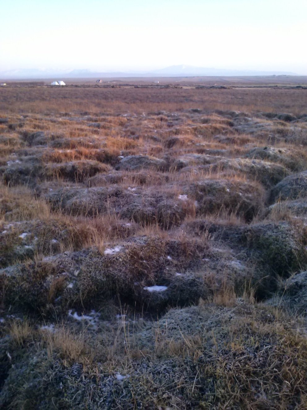 Næsti fundur sveitarstjórnar verður 18. febrúar