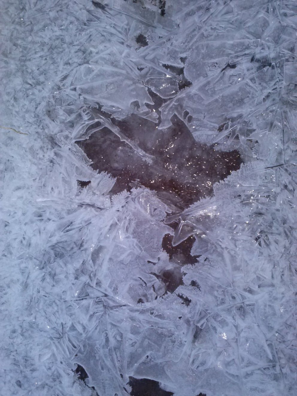 Fundargerð 312. fundar sveitarstjórnar Flóahrepps