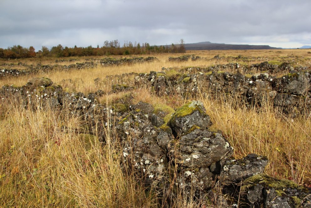 Dælarétt. Mynd: SBS