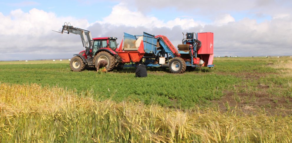 Fljótshólar. Mynd SBS