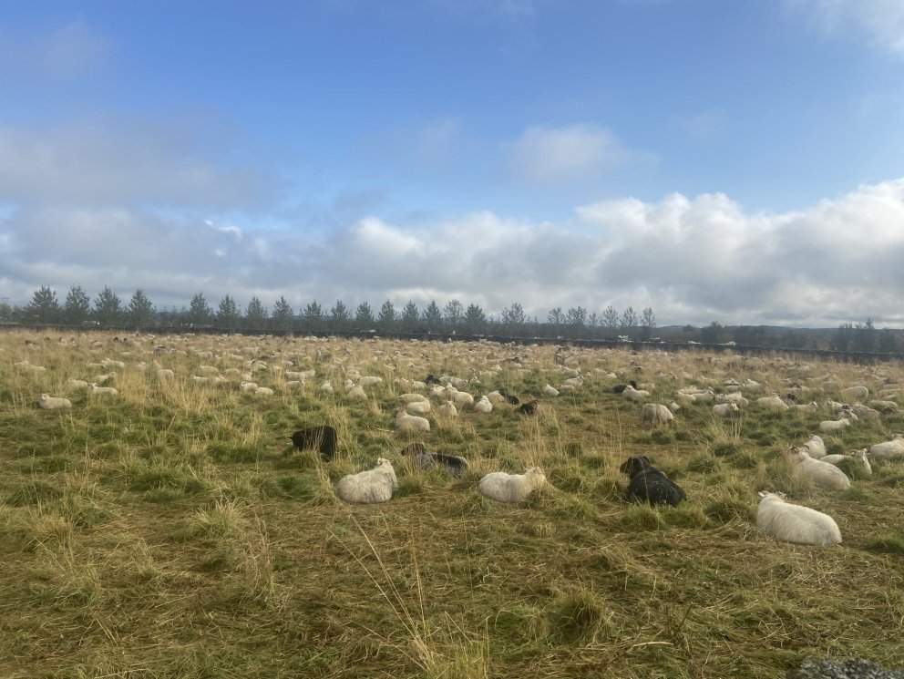 Haustfundur afréttarmálafélags Flóa og Skeiða
