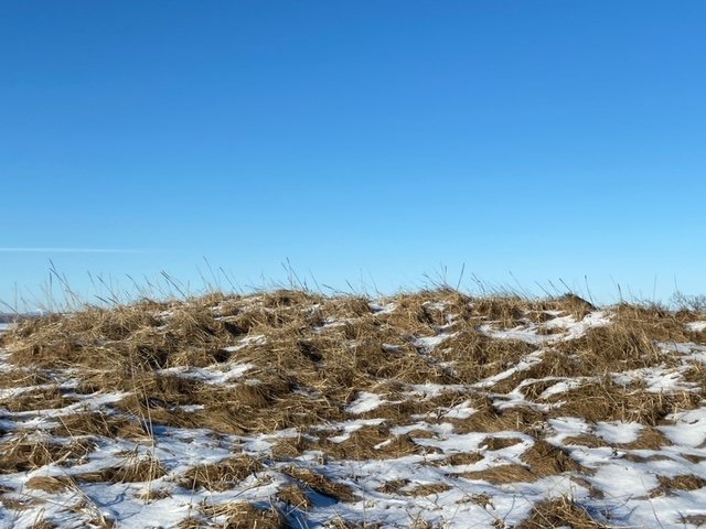 Ársreikningur Flóahrepps 2022