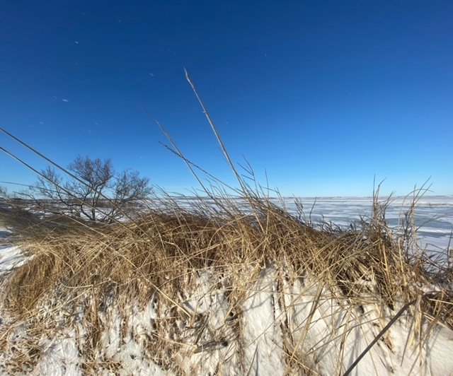 Óskum eftir fulltrúa í Öldungaráð Uppsveita og Flóa
