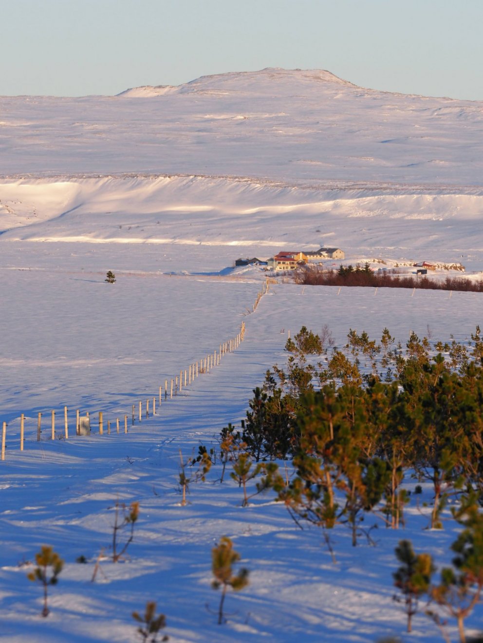 Mynd: Ólafur Ingi Ólafsson Halakoti, 2023