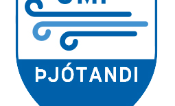 Leikjanámskeið Þjótanda byrjað!