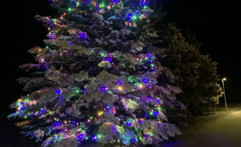 Lækkun á álagningu í A flokki og lækkun á sorphirðugjöldum í samþykktri fjárhagsáætlun 2025-2028