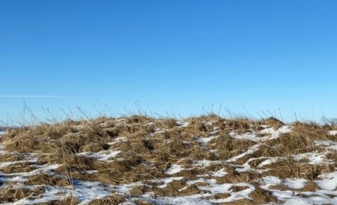 Fundargerð 313. fundar sveitarstjórnar