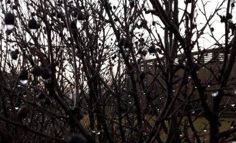 Fundardagskrá 307. fundar sveitarstjórnar