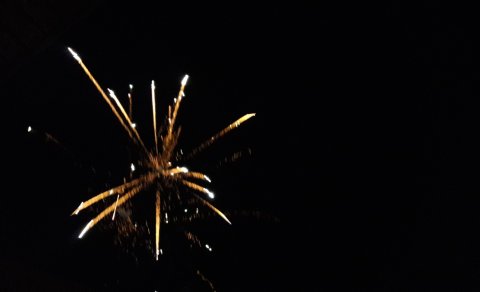 Fundardagskrá 310. fundar sveitarstjórnar Flóahrepps