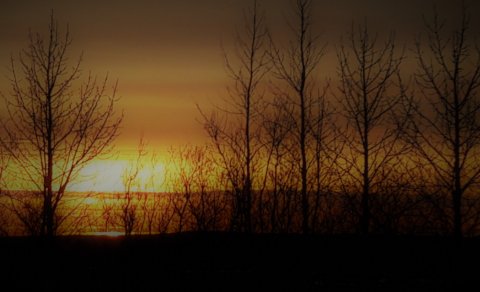 Fundardagskrá 314. fundar sveitarstjórnar