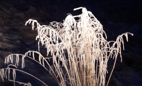 Fundargerð 307. fundar sveitarstjórnar