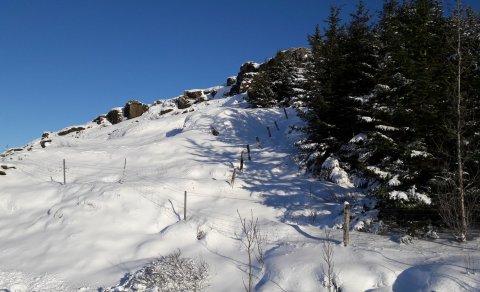 Fundargerð 310. fundar sveitarstjórnar