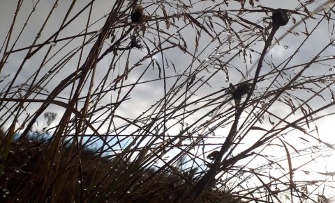 Skrifstofa Flóahrepps lokuð 21.-22. september