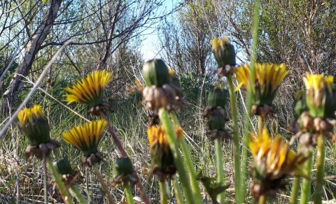 Fundargerð 302. fundar sveitarstjórnar