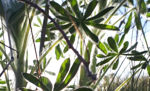 Fundardagskrá 301. fundar sveitarstjórnar