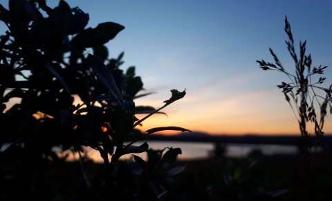 Fundardagskrá 302. fundar sveitarstjórnar Flóahrepps