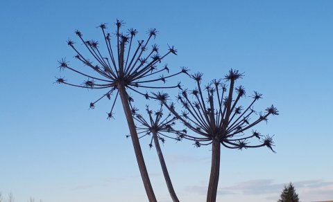 Fundardagskrá 313. fundur sveitarstjórnar