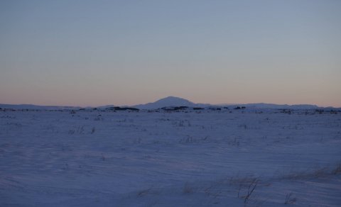 Mynd: Ólafur Ingi Ólafsson, Halakoti 2023