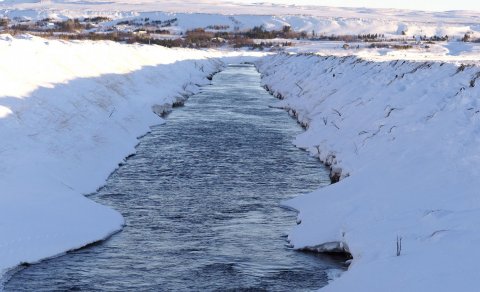 Mynd: Ólafur Ingi Ólafsson, Halakoti