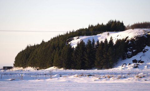 Mynd: Ólafur Ingi Ólafsson, Halakoti, 2023