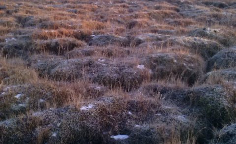 Næsti fundur sveitarstjórnar verður 18. febrúar