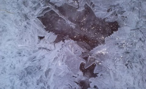 Fundargerð 312. fundar sveitarstjórnar Flóahrepps