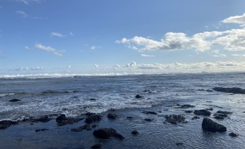 Fundargerð 295. fundar sveitarstjórnar Flóahrepps